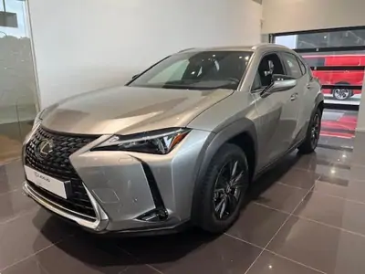 Occasie Lexus UX 250h Business Line GREY - Gris