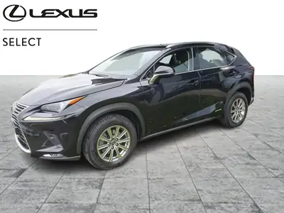 Occasie Lexus Nx300h 2494 HYBRIDE