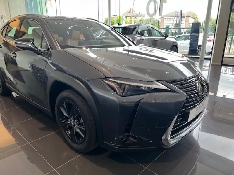 Occasie Lexus UX 250h Business Line GREY - Gris 2