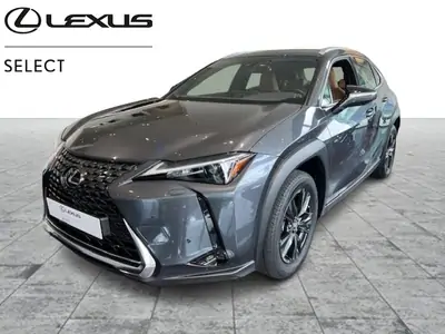 Occasie Lexus UX 250h Business Line GREY - Gris