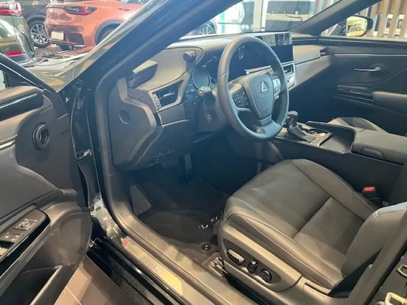 Occasie Lexus ES 300h Business Line BLACK - BLACK 7