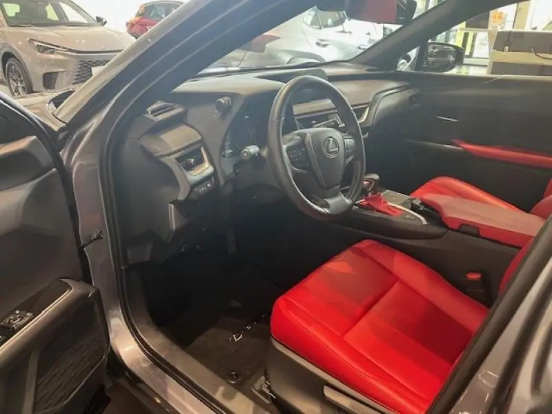 Occasie Lexus UX 250h Explore Line ANTHRACITE - Anthracite 5
