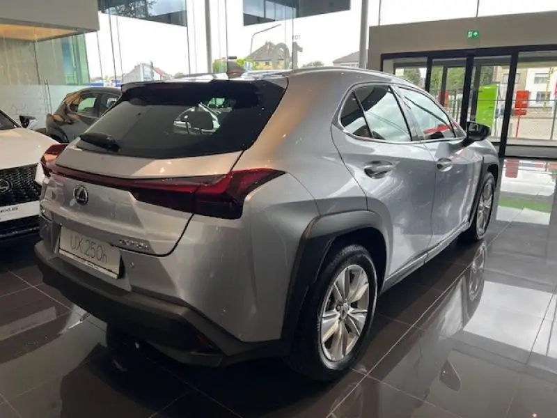 Occasie Lexus UX 250h Comfort Line GREY - Gris 3
