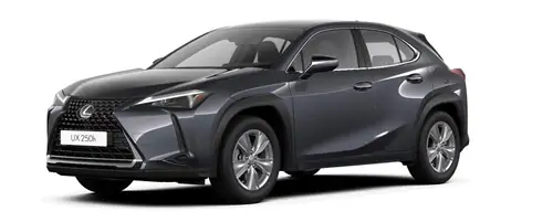 Demo Lexus Ux Crossover 2.0L HEV E-CVT 2WD Business Li 1L1 - Sonic Grey