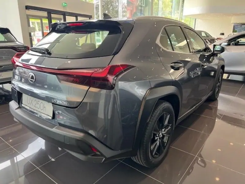 Occasie Lexus UX 250h Business Line GREY - Gris 3