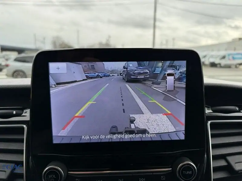 Occasie Ford Custom Manual 19