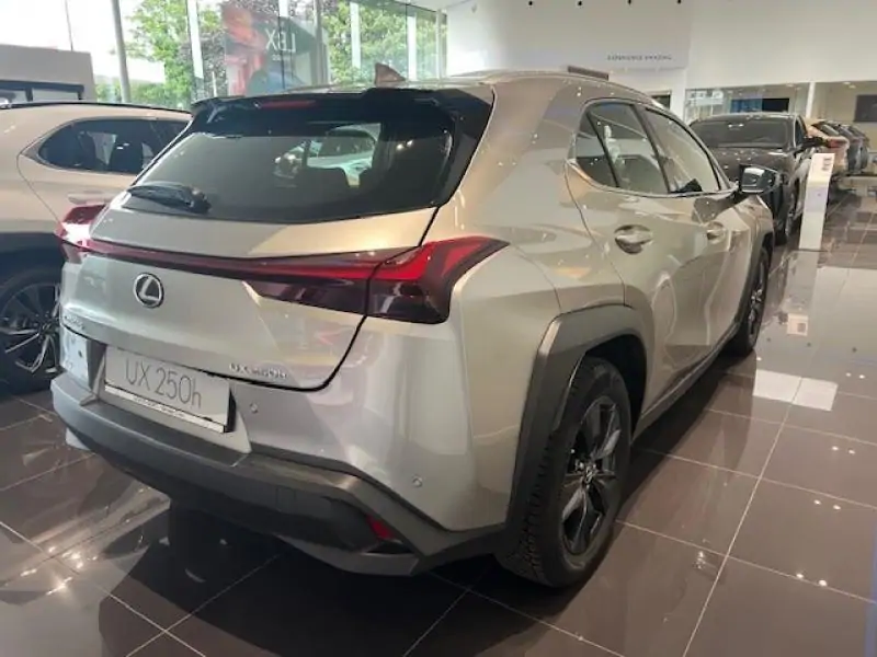Occasie Lexus UX 250h Business Line GREY - Gris 3